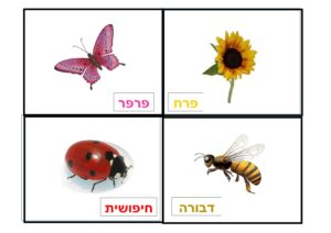משחק לוטו סמלי האביב