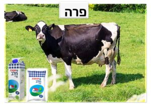 תוצרת בעלי חיים