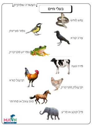 קולות בעלי חיים / העשרה
