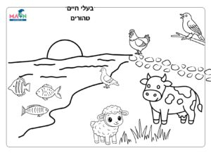 בעלי חיים טהורים ולא טהורים